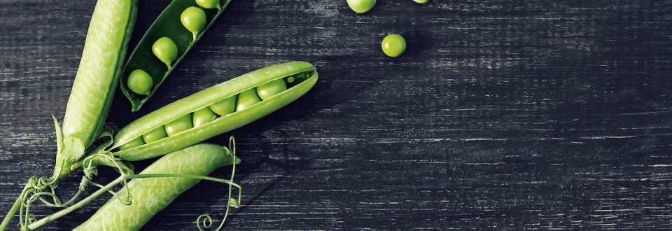 Pea pods on dark gray wood table