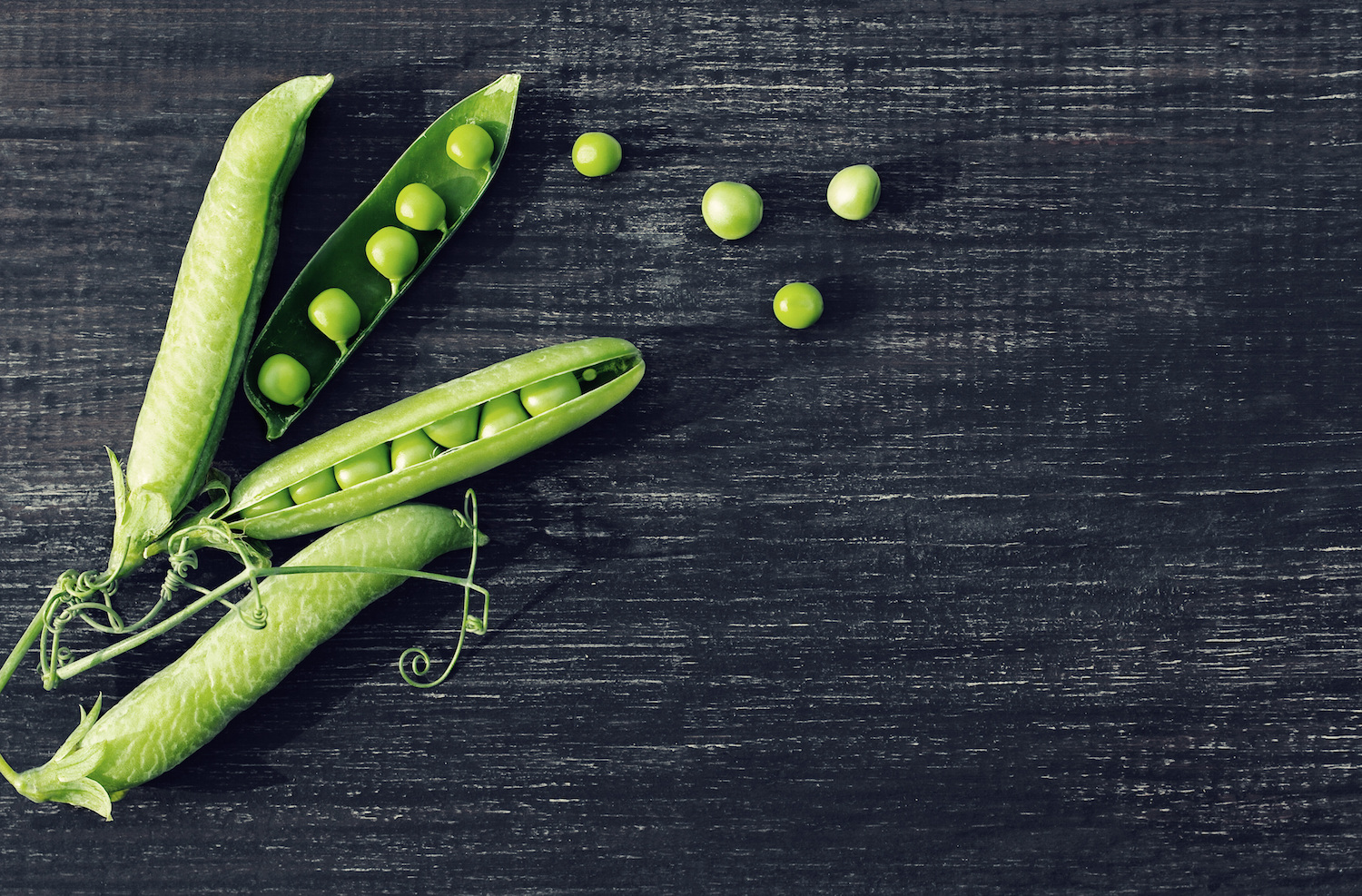 pea-protein-a-versatile-ingredient-with-nutritional-benefits