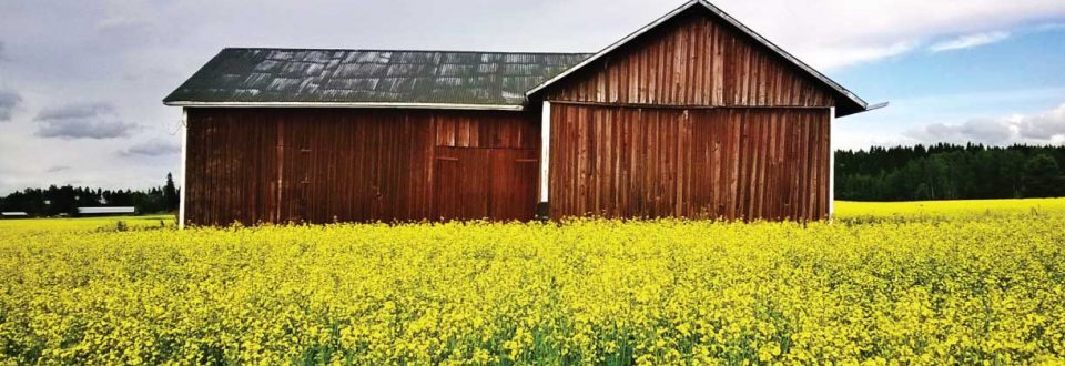 Big Country Foods Barn