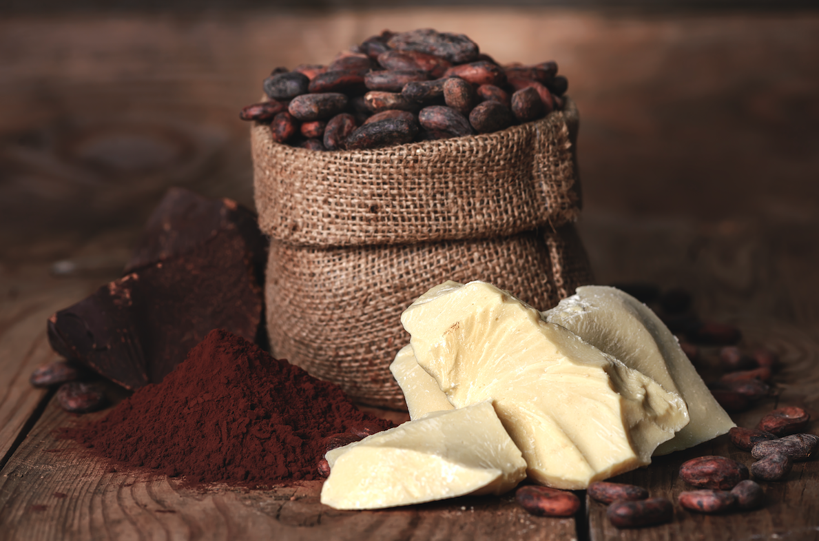 cocoa buttter and cocoa beans and cocoa powder