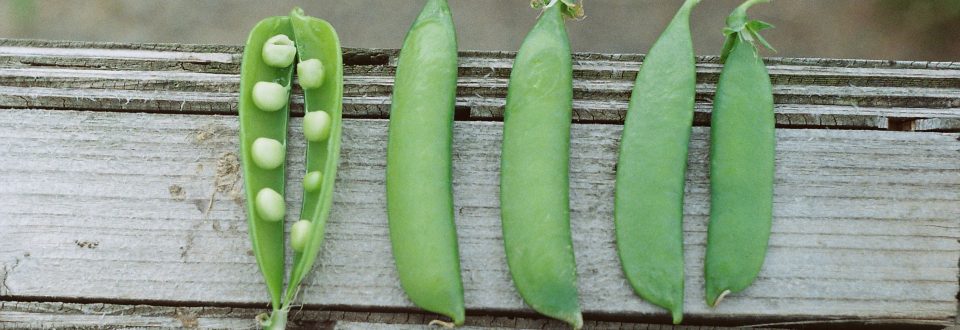 peas inside of green beans