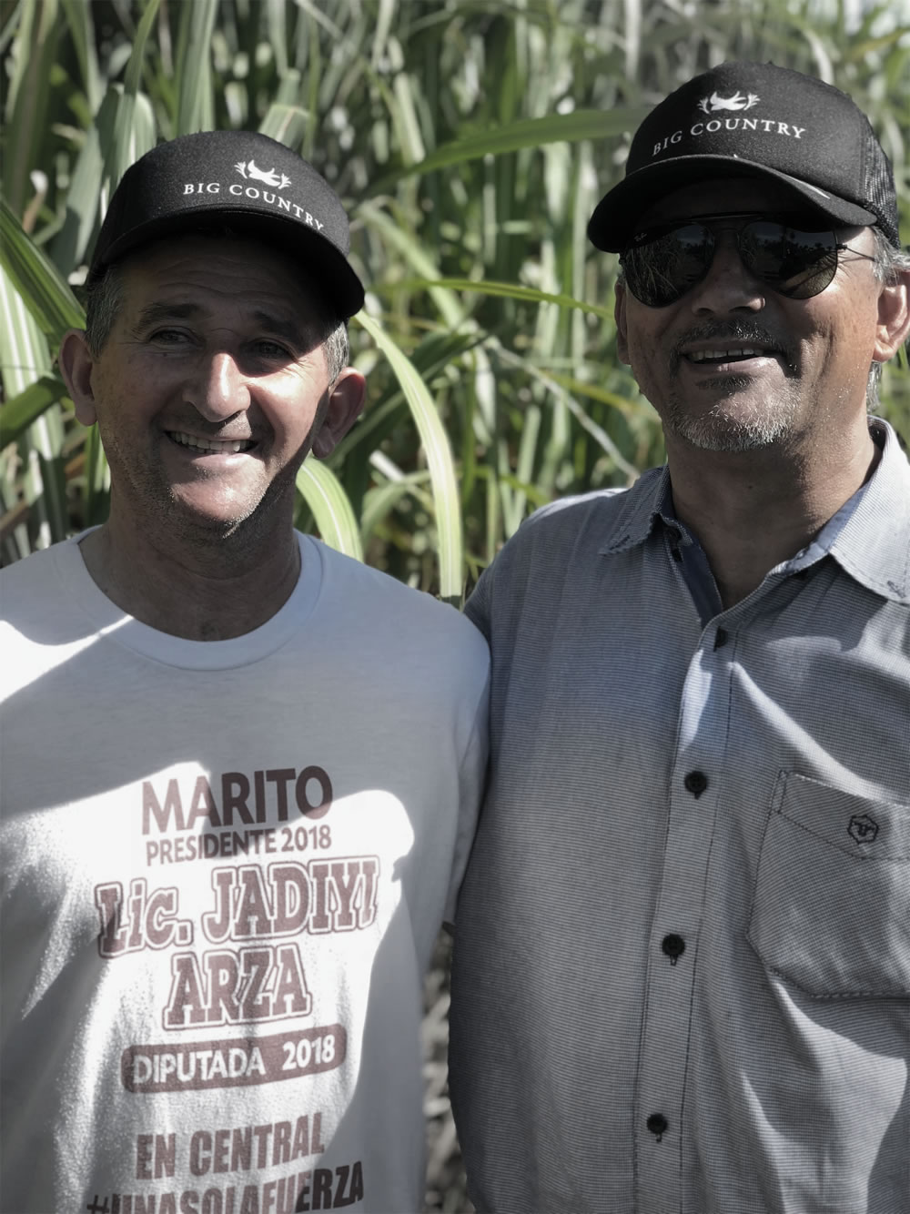 farmers standing in sugar fields