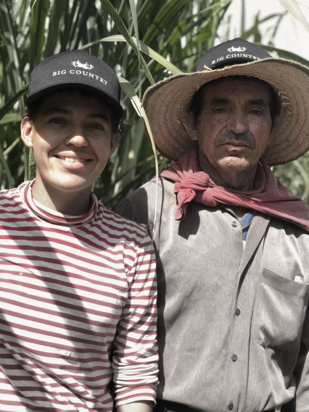 farmers standing in front of sugar fields