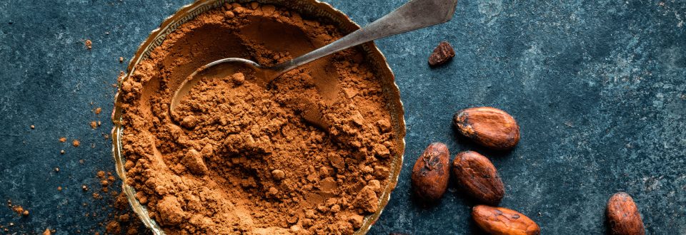 bowl of cocoa powder next to cocoa beans on a blue background