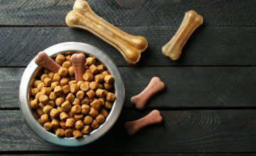 pet food ingredients