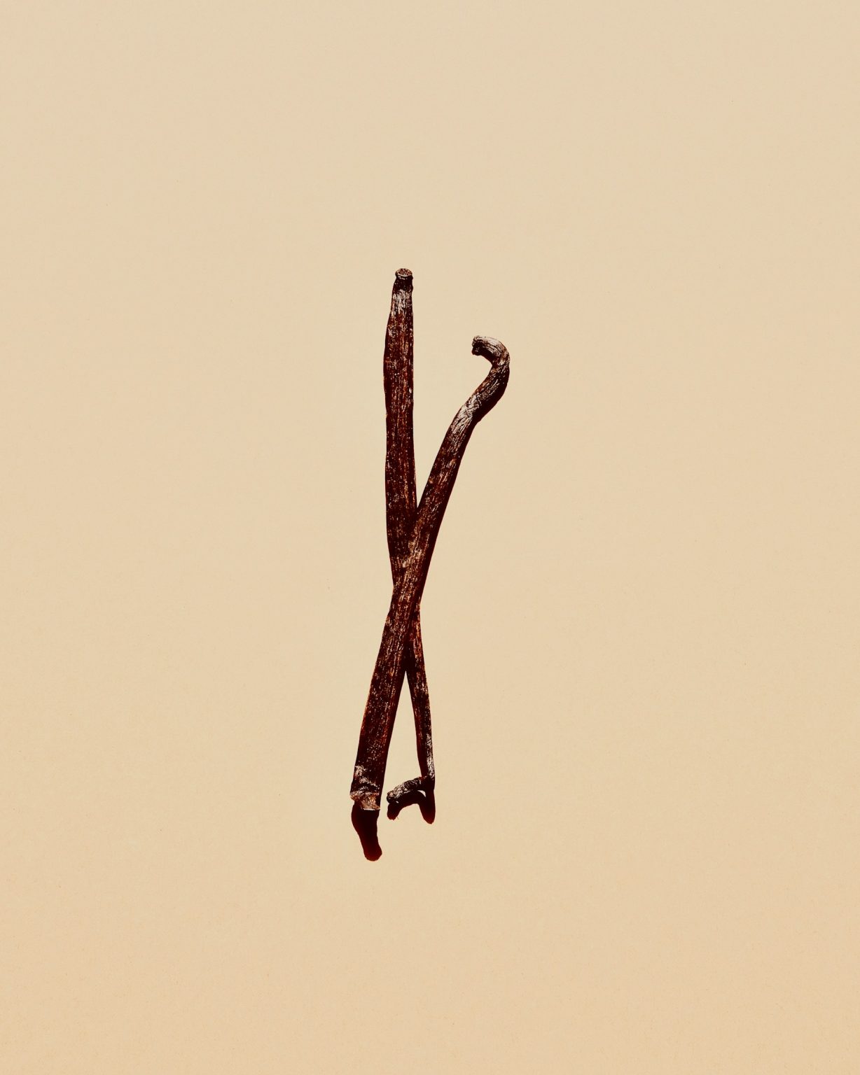 Two vanilla beans oriented vertically on a light brown background