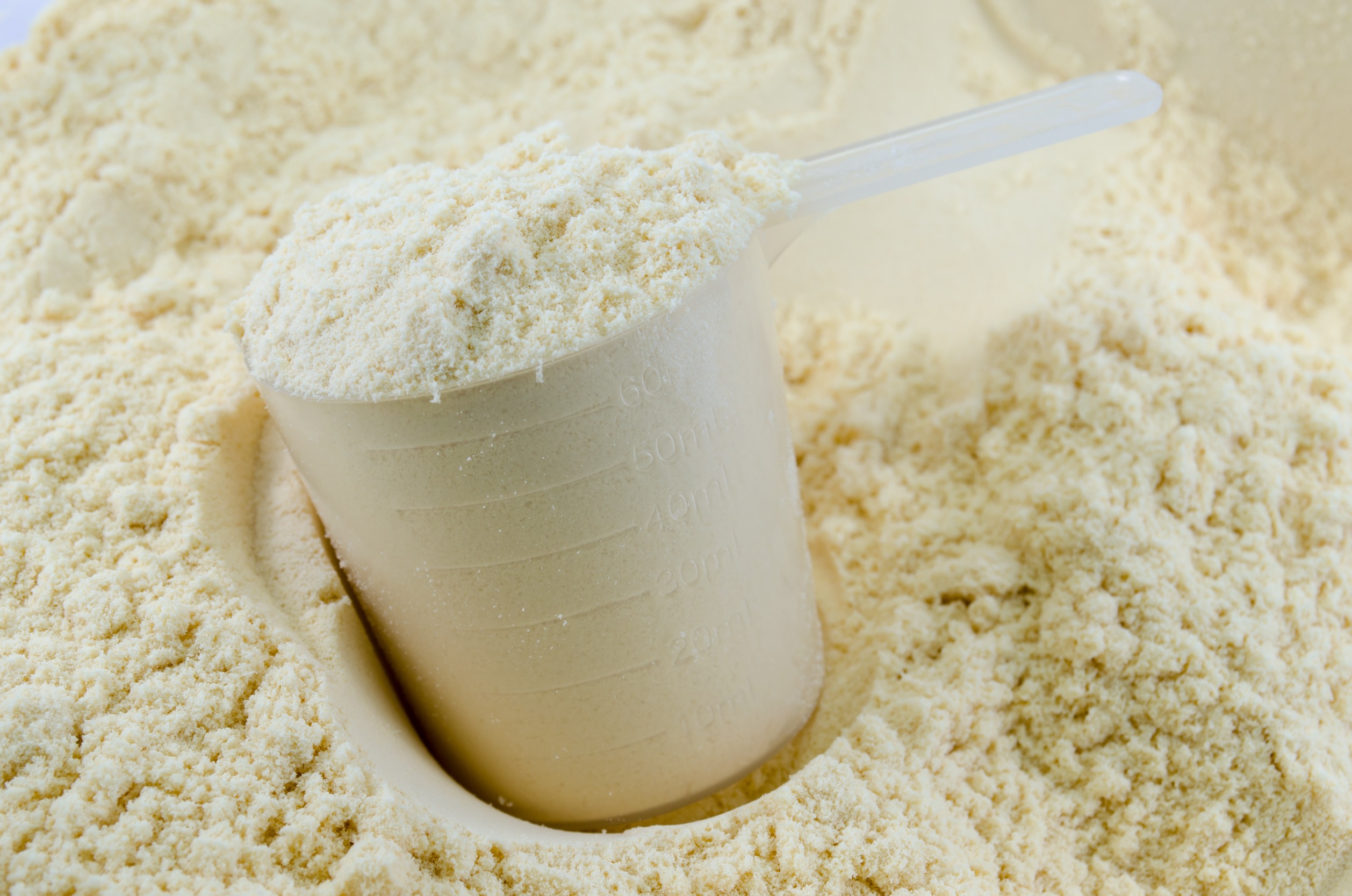 A large scooper full of pea protein set in a large pile of bulk pea protein