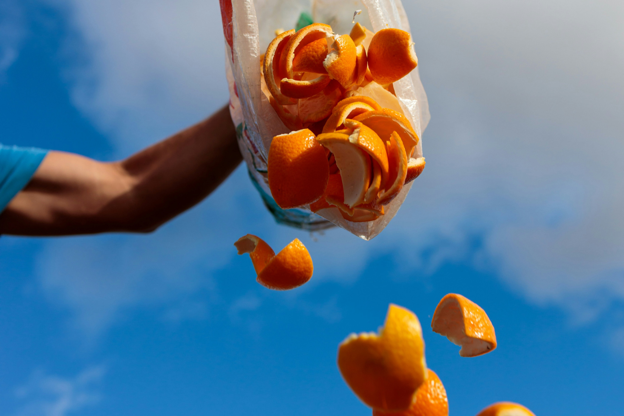 Citrus fruit falling out of a bag with a blue sky background