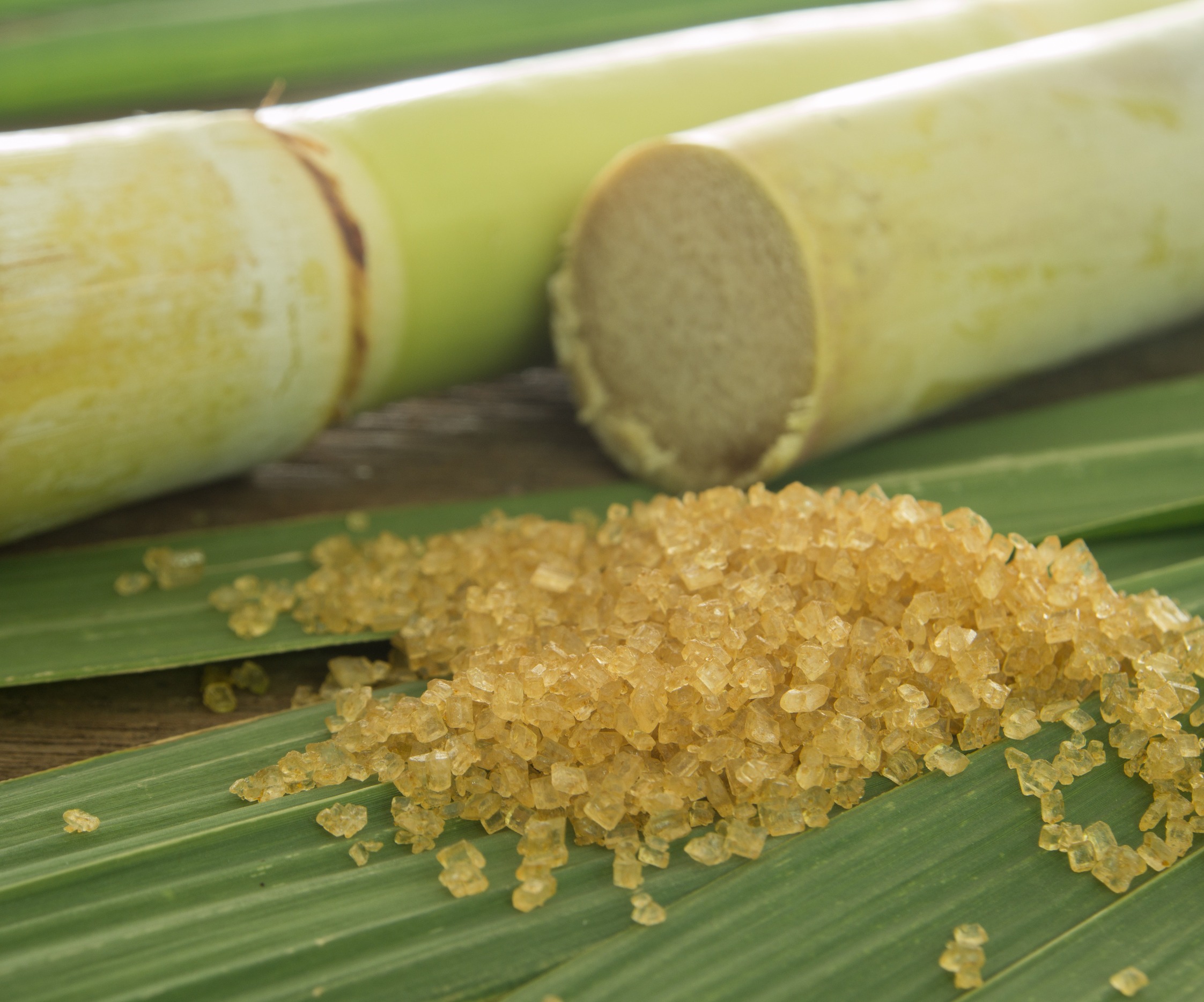 Organic sugar next to sugar canes and on sugarcane leaves