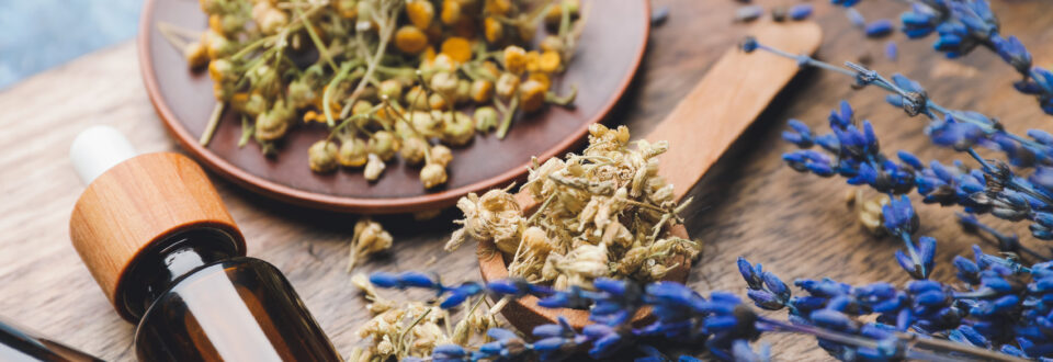 Chamomile and lavender with dropper bottle and dried botanicals