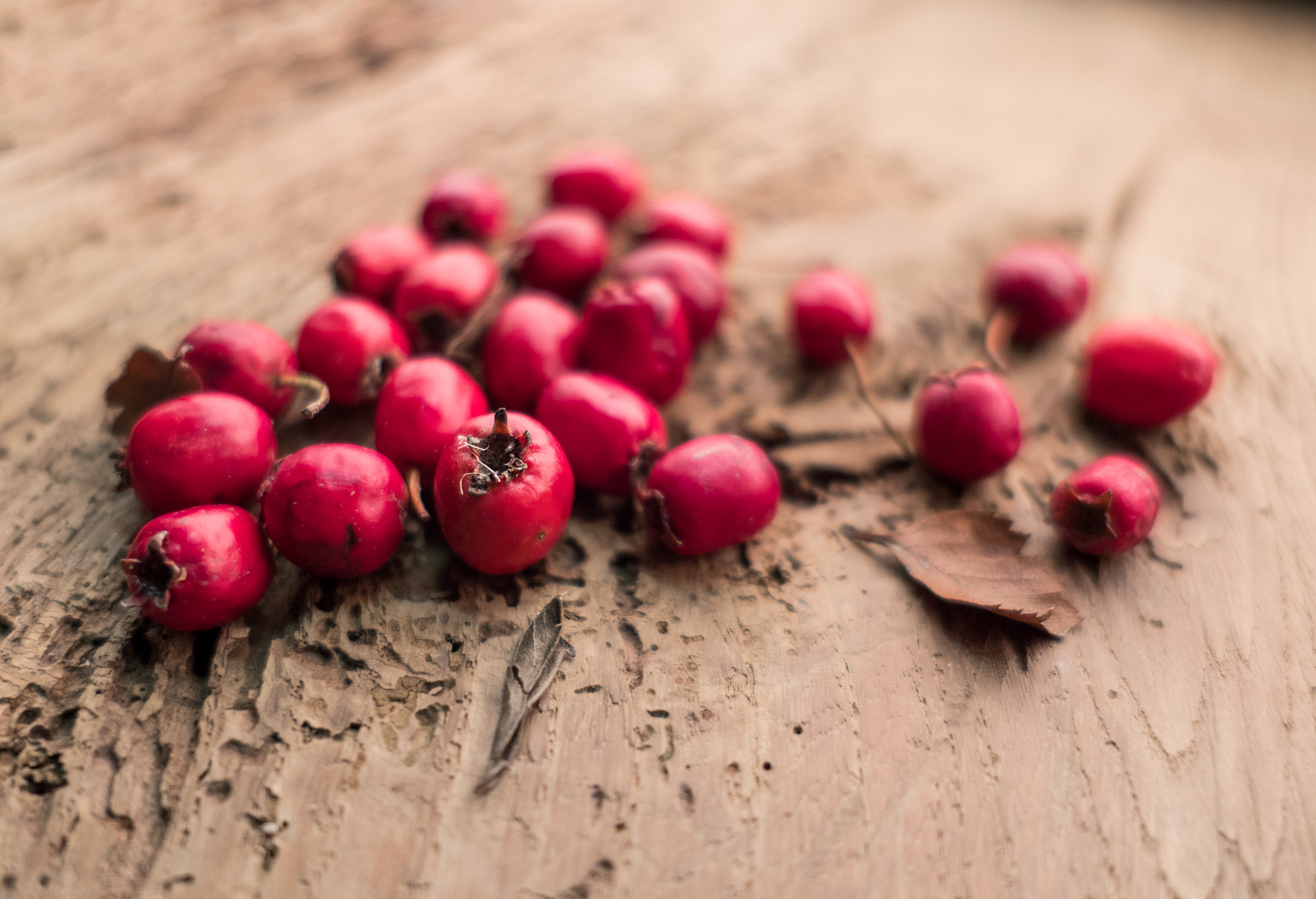 Macro shot of red hawthorn berries on a wooden ground